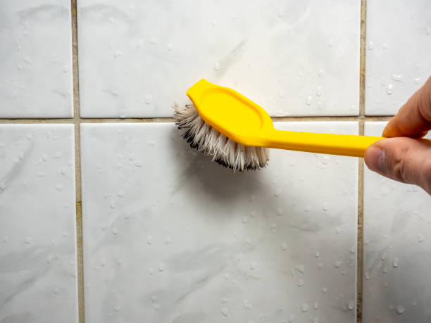 Best Local Mold Removal Service  in Navassa, NC