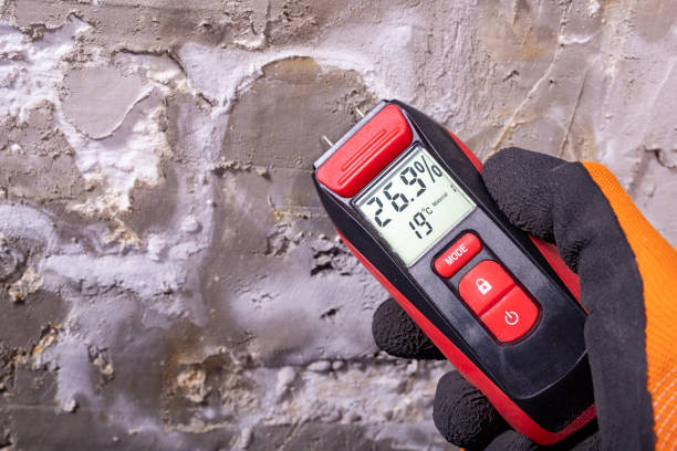 Trusted Navassa, NC Mold Removal Experts